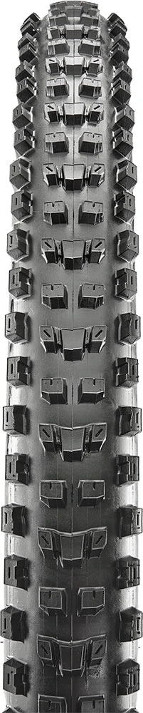 MAXXIS Dissector WT 29x2,60" TR EXO 3C MaxxTerra 60 Faltreifen – Bild 2