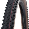 Schwalbe Racing Ray Evo Super Race 29" Addix Speed TLE Faltreifen