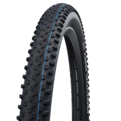 Schwalbe Racing Ray Evo Super Ground 29" Addix SpeedGrip TLE E-25 Faltreifen
